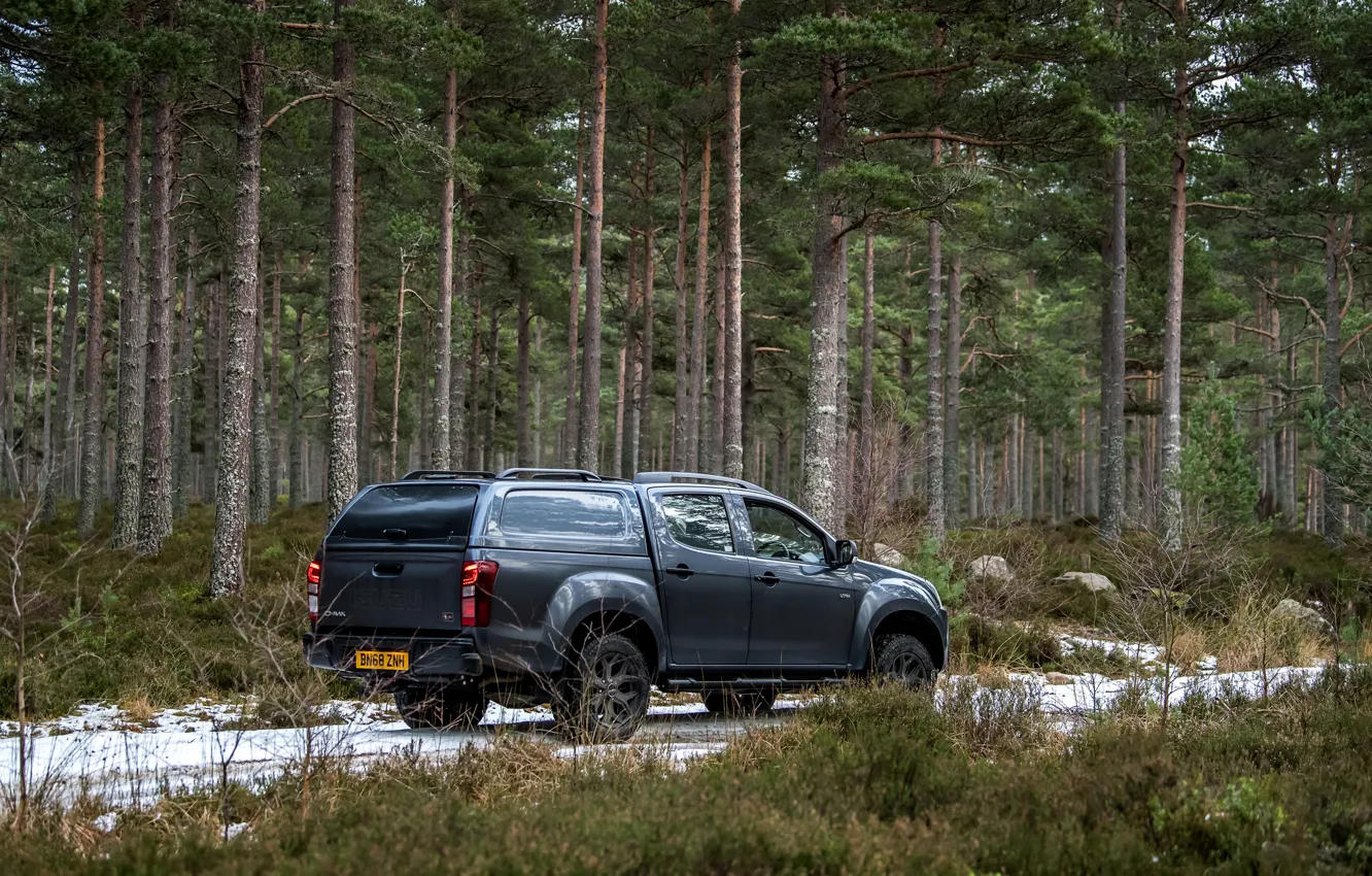 Photo wallpaper pickup, 2018, coniferous forest, Isuzu, Huntsman, D-Max, UK version