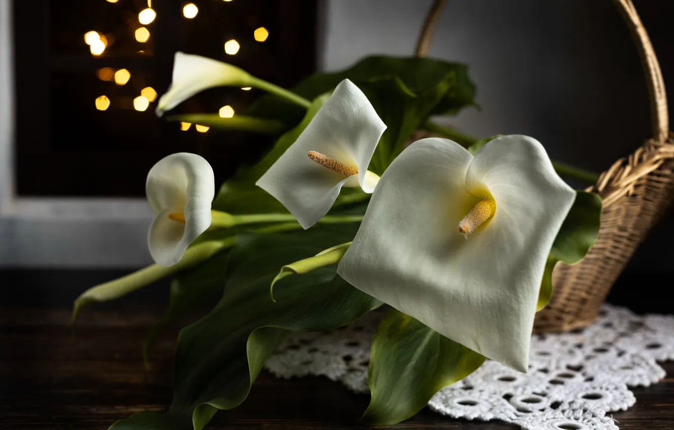 Photo wallpaper white, basket, Calla lilies