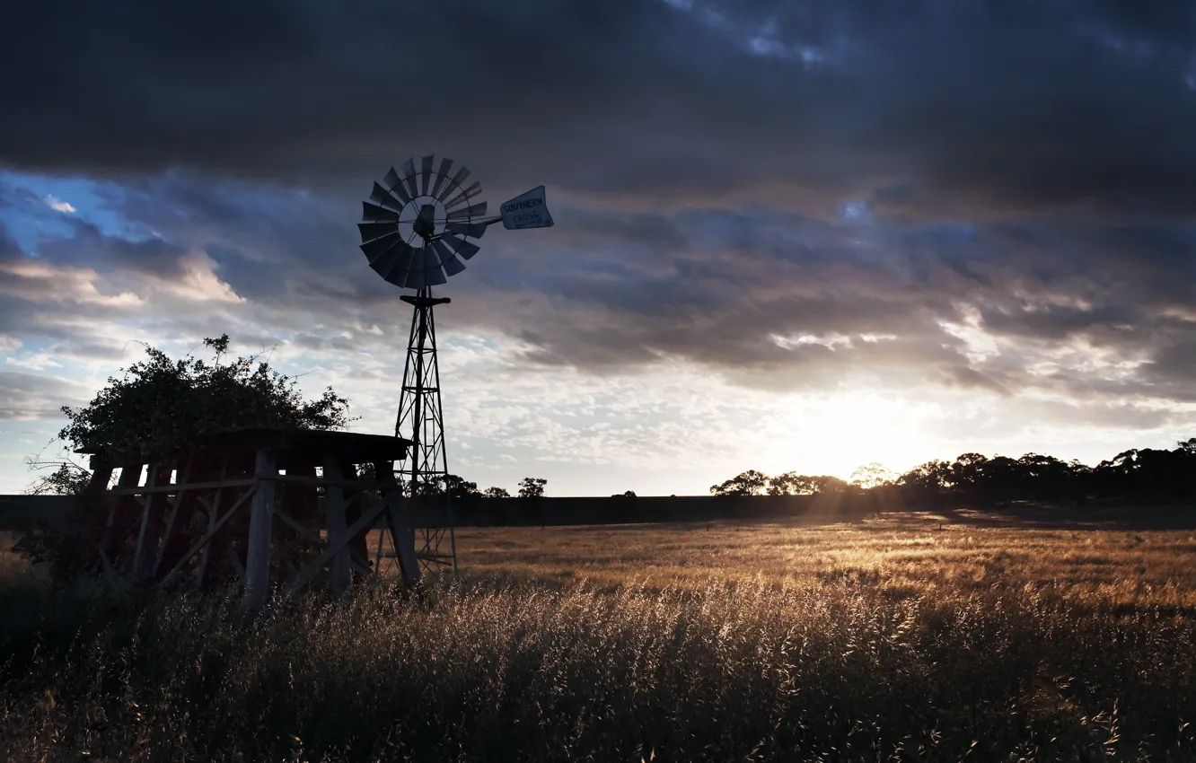 Photo wallpaper field, landscape, sunset, windmills