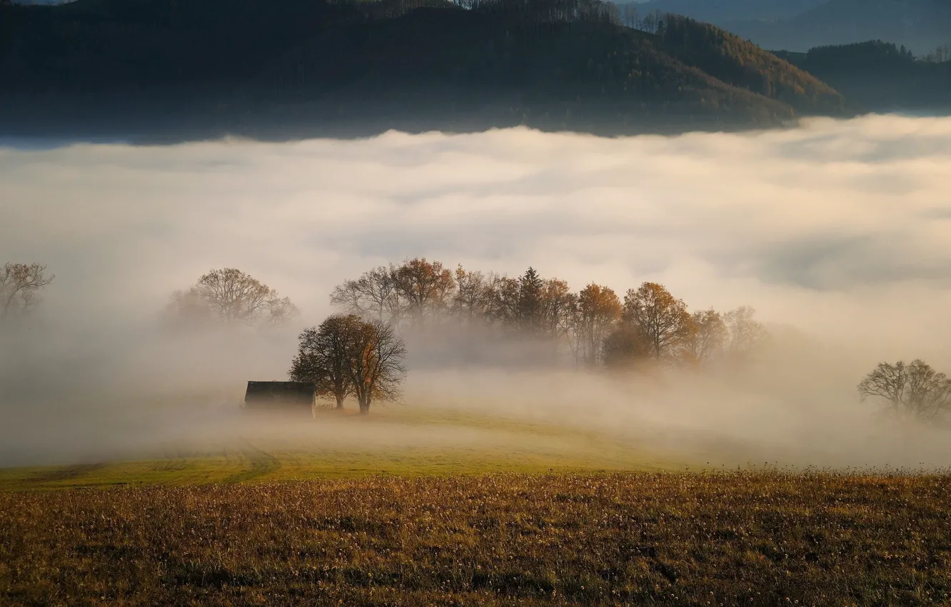 Photo wallpaper autumn, trees, fog, meadow, house, Carl Egger