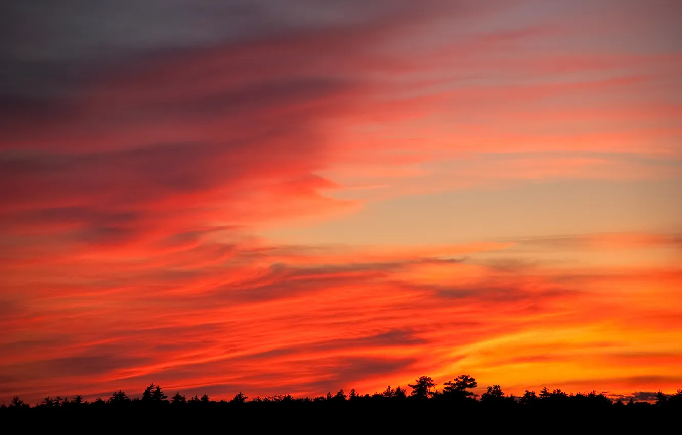 Photo wallpaper the sky, clouds, sunset, night, red