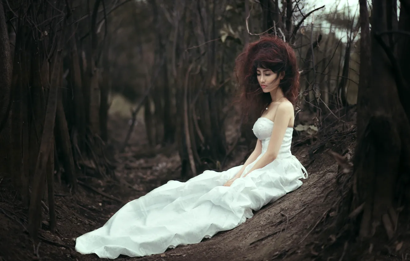Photo wallpaper GIRL, FOREST, HAIR, WHITE, DRESS, BROWN hair, TREES, BRANCHES