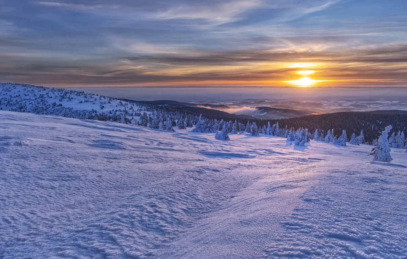 Photo wallpaper winter, snow, mountains, sunrise, dawn, morning, Czech Republic, Czech Republic