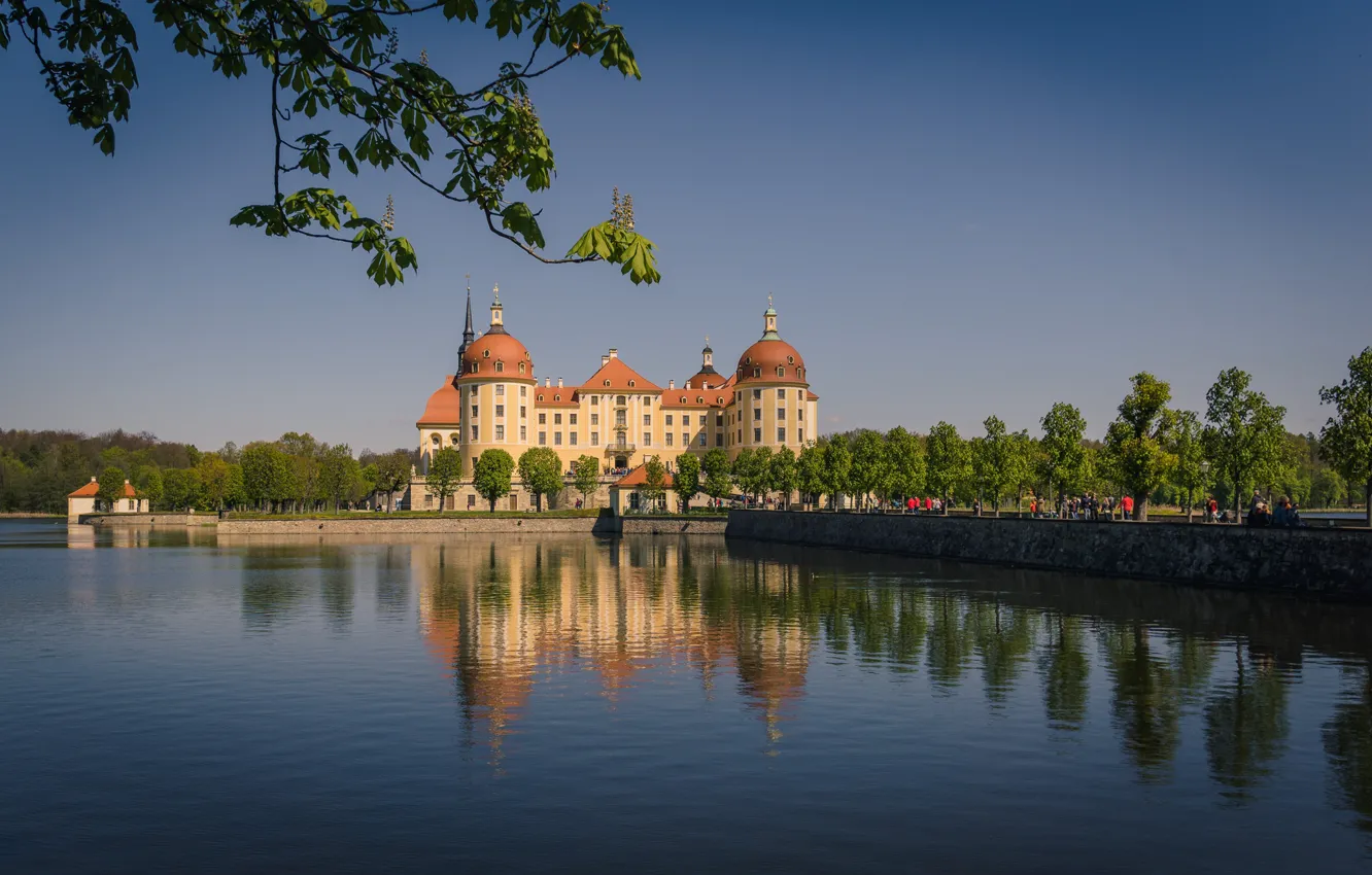 Photo wallpaper water, branches, reflection, castle, Germany, Germany, Saxony, Moritzburg