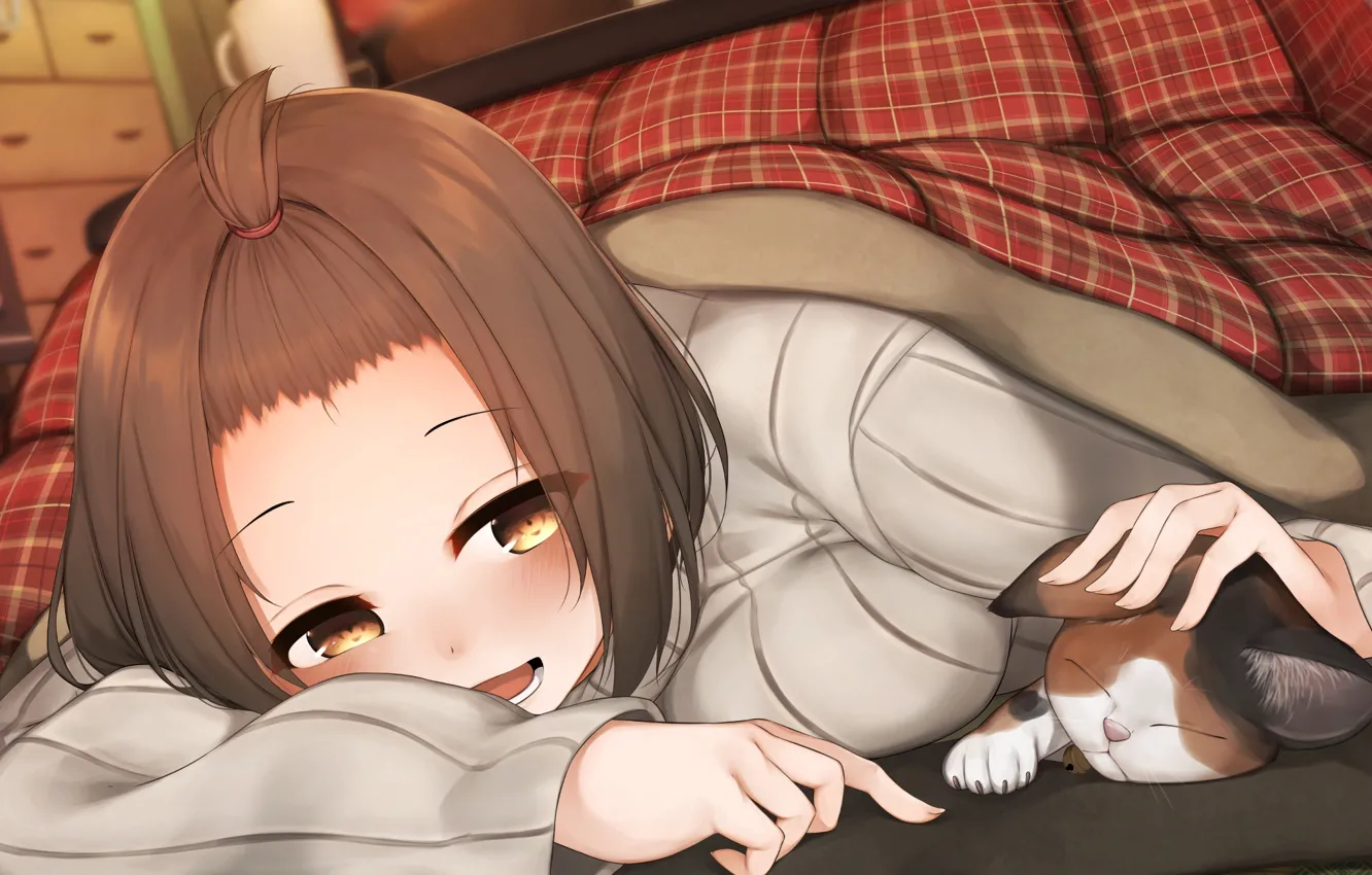 Photo wallpaper cat, cat, girl, blanket