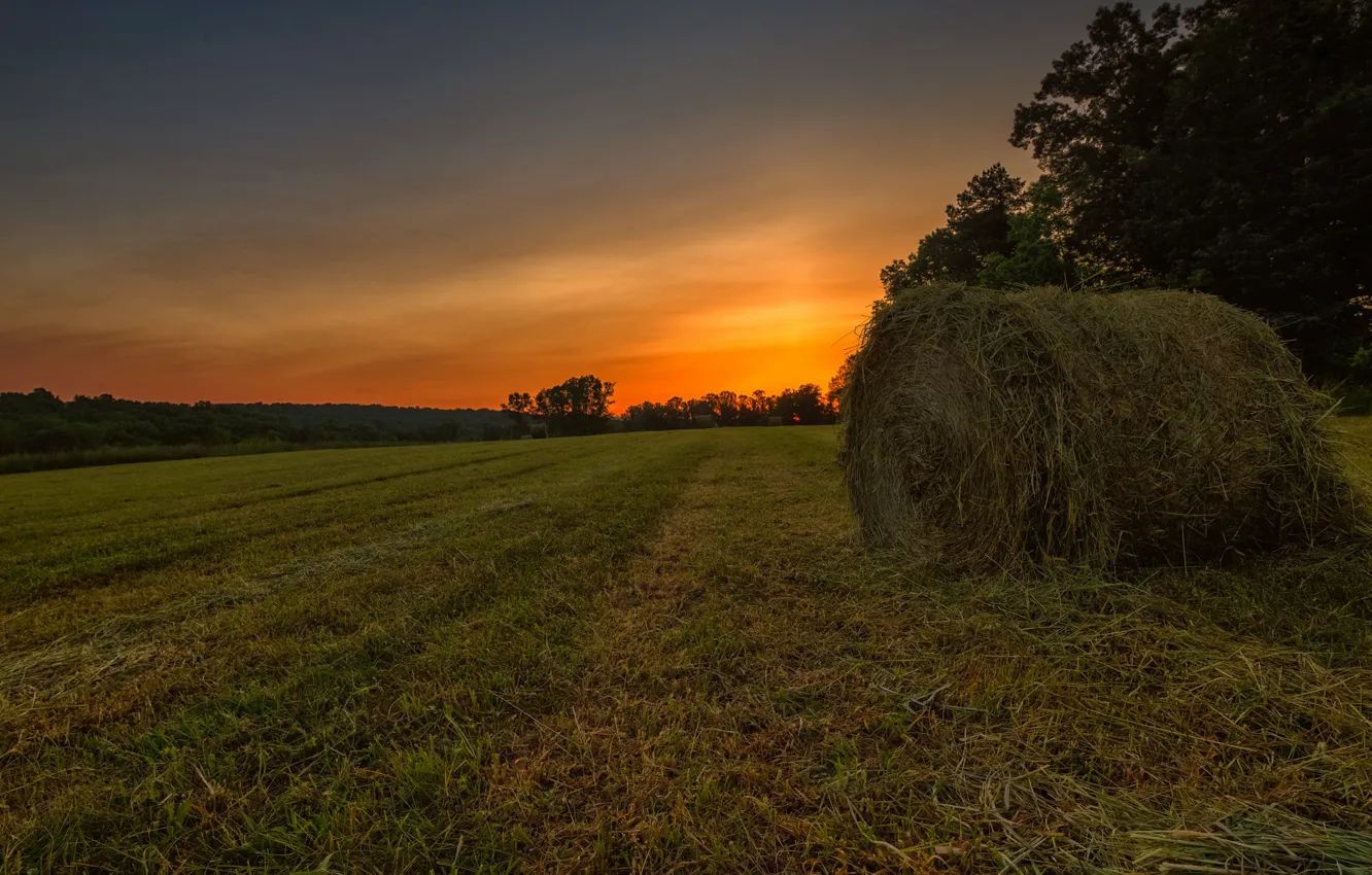 Photo wallpaper field, summer, sunset, hay, homeland