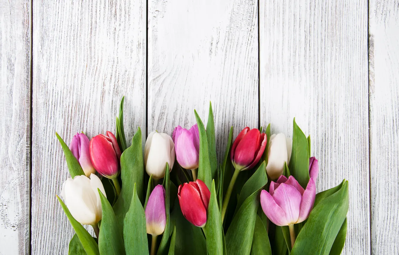 Photo wallpaper flowers, bouquet, colorful, tulips, wood, pink, flowers, tulips
