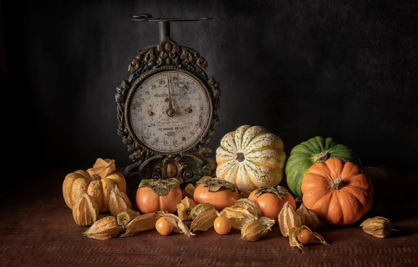 Photo wallpaper pumpkin, Libra, physalis, persimmon