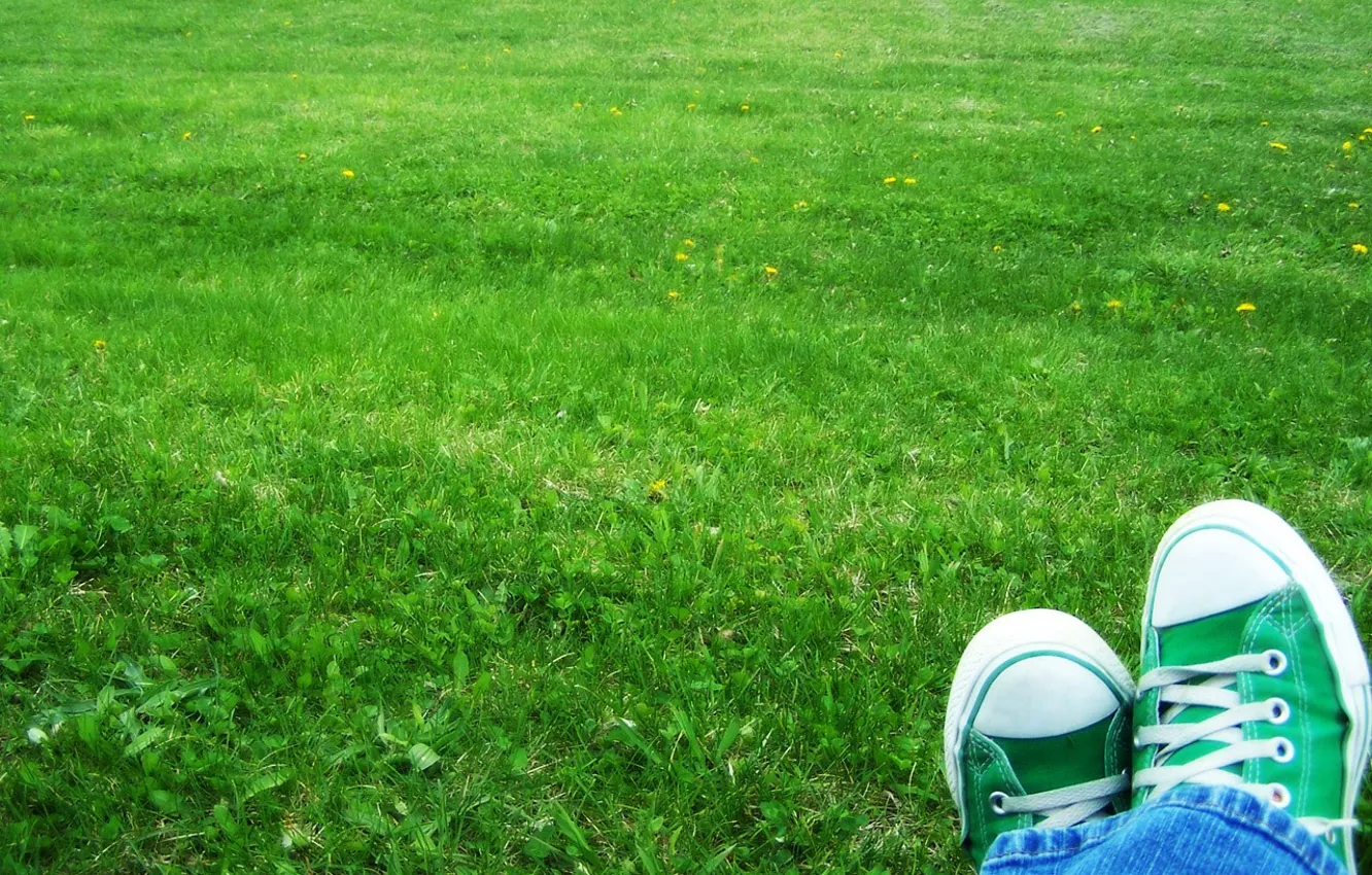 Photo wallpaper grass, sneakers, Green