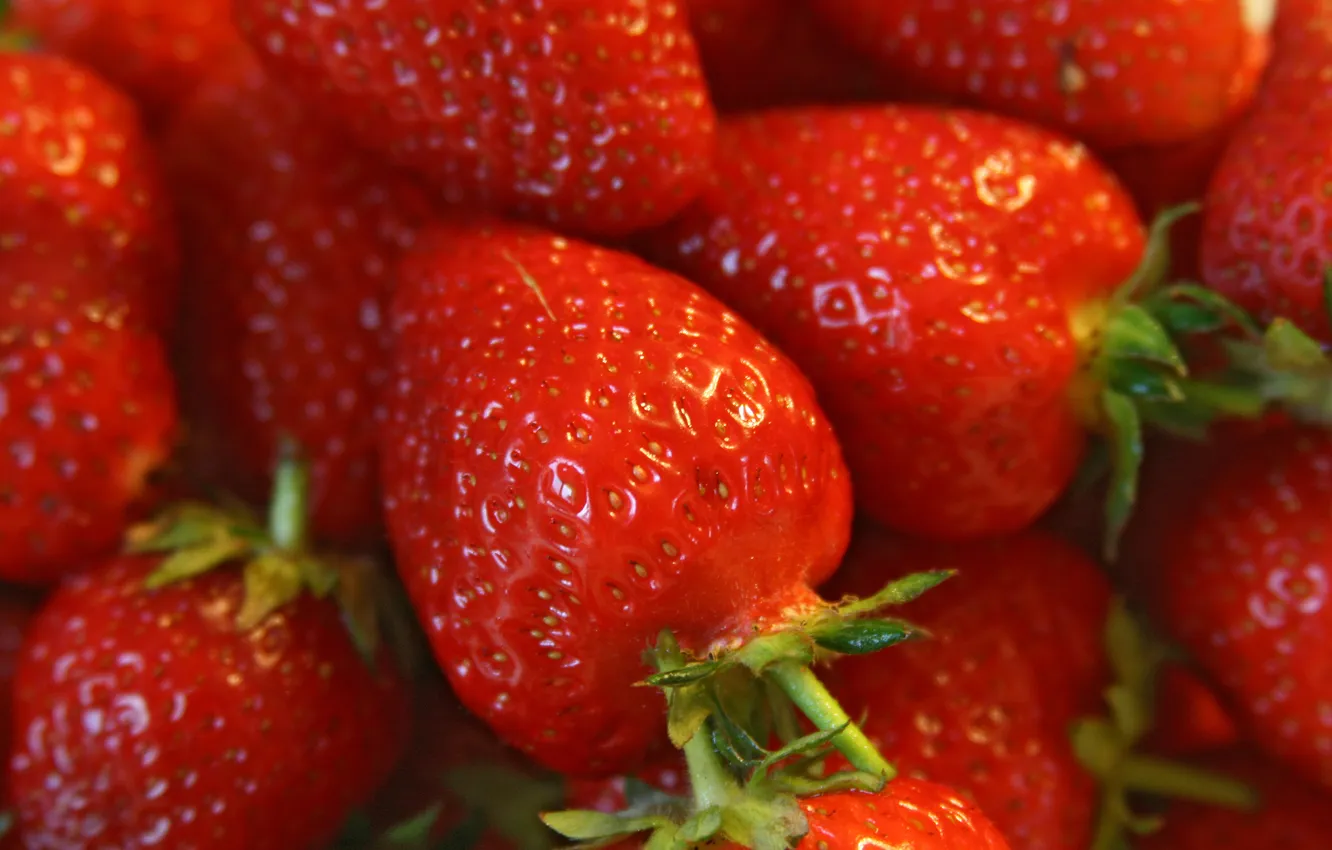 Photo wallpaper macro, berries, strawberries, strawberry