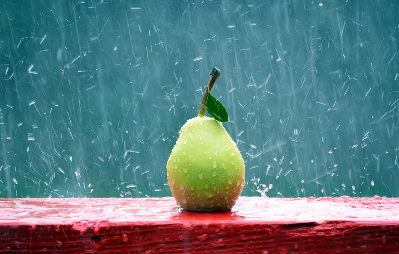 Photo wallpaper macro, rain, pear