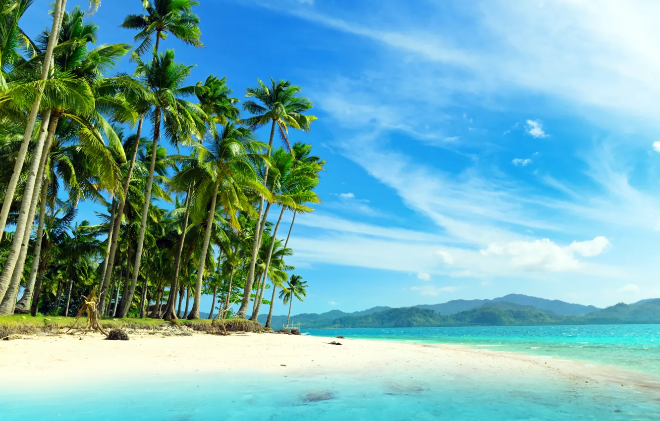 Photo wallpaper sea, palm trees, coast, beauty