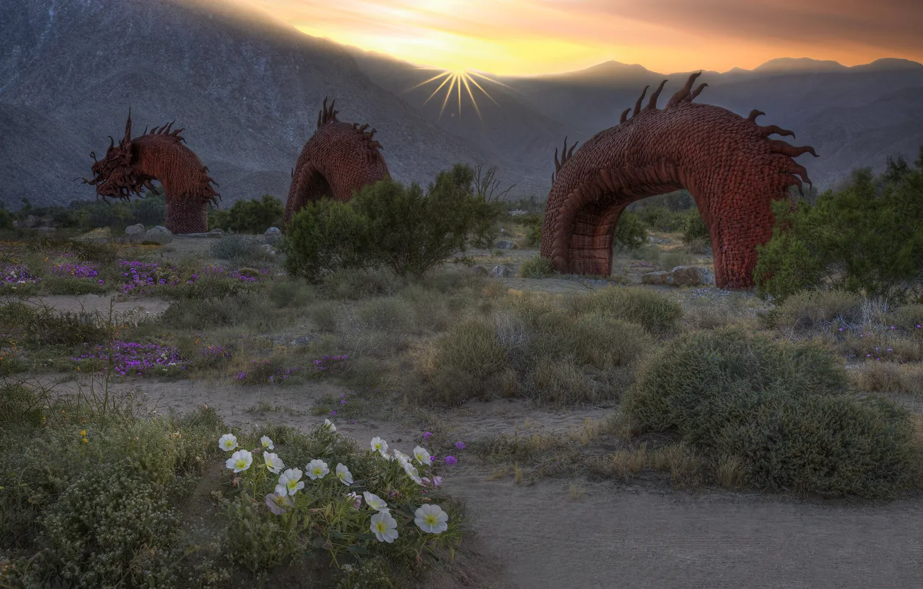 Photo wallpaper sand, the sun, clouds, flowers, mountains, dragon, Asia, snake