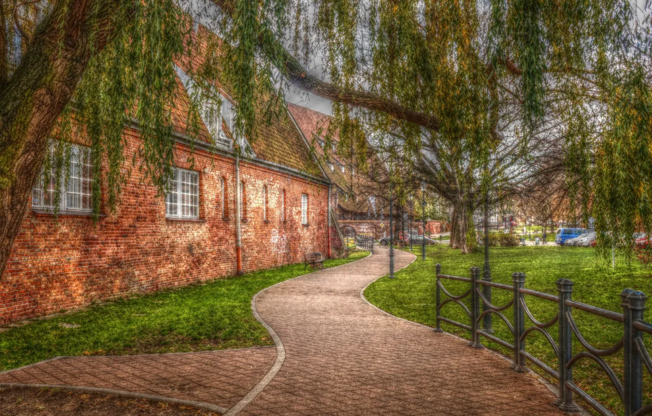 Photo wallpaper tree, street, Poland, building