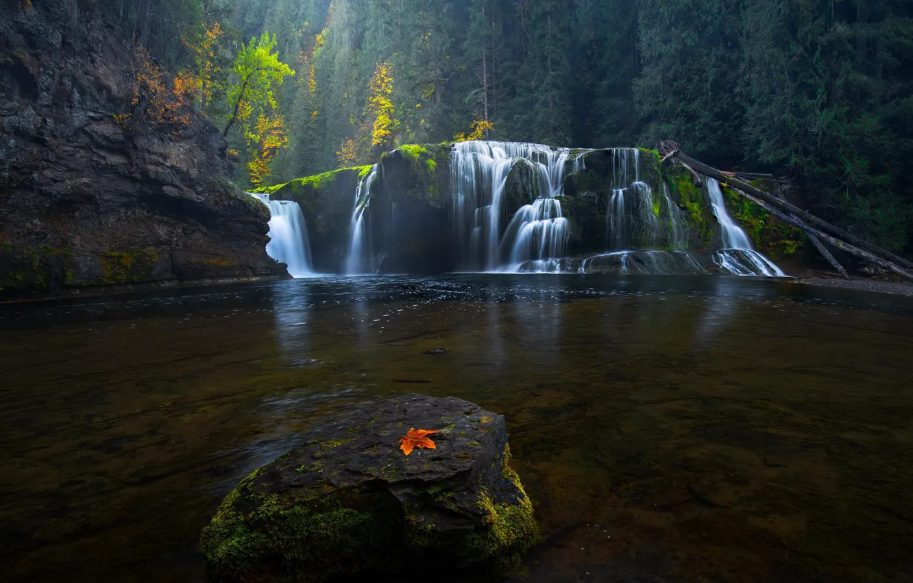 Photo wallpaper autumn, forest, rocks, leaf, waterfall, cascade