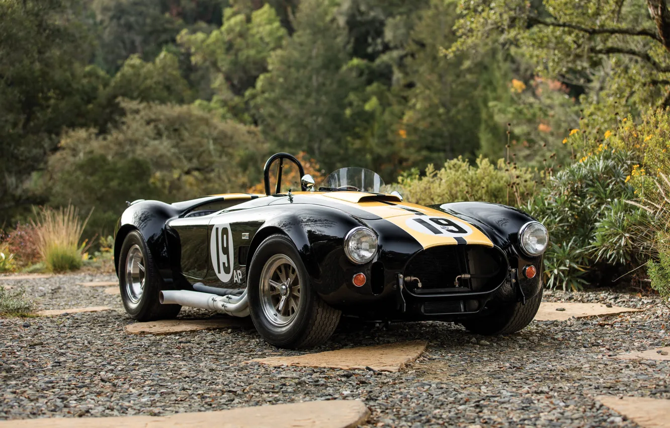 Photo wallpaper Ford, Shelby, Cobra, Ford, Shelby, 1965, Cobra 427