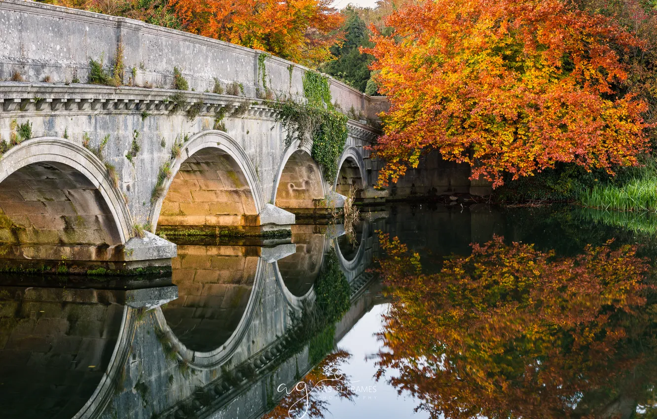 Photo wallpaper autumn, forest, bridge, arch, pond, aqueduct
