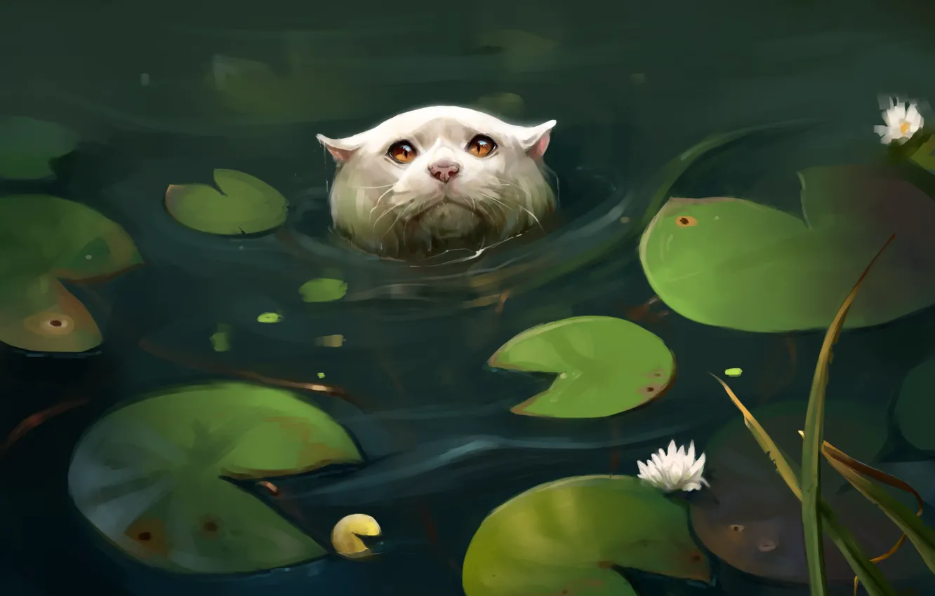 Photo wallpaper cat, leaves, pond, water lilies, by SalamanDra-S