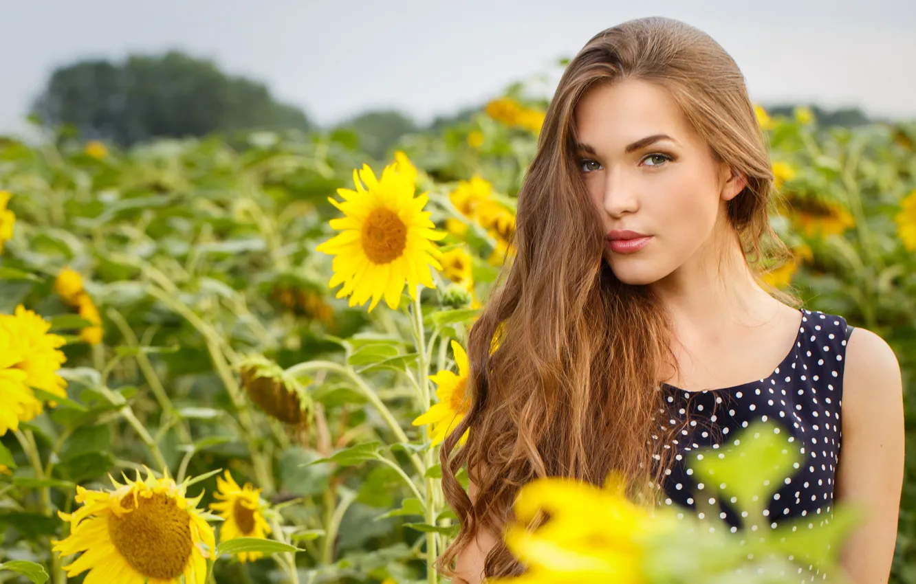 Photo wallpaper girl, sunflowers, flowers, beautiful