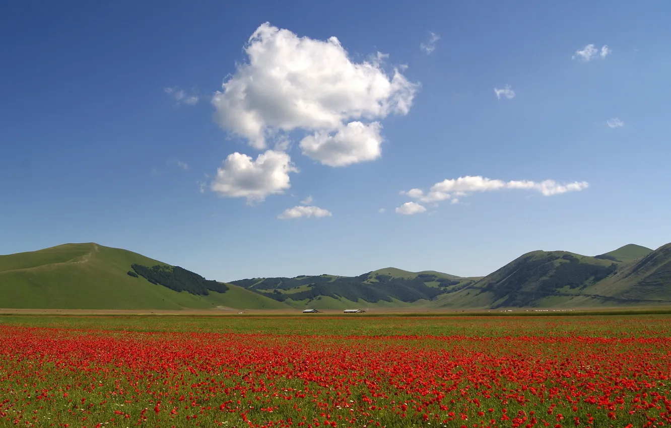 Photo wallpaper nature, farm, Town
