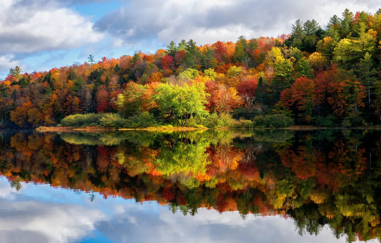 Photo wallpaper autumn, forest, clouds, reflection, pond, the colors of autumn, bright foliage