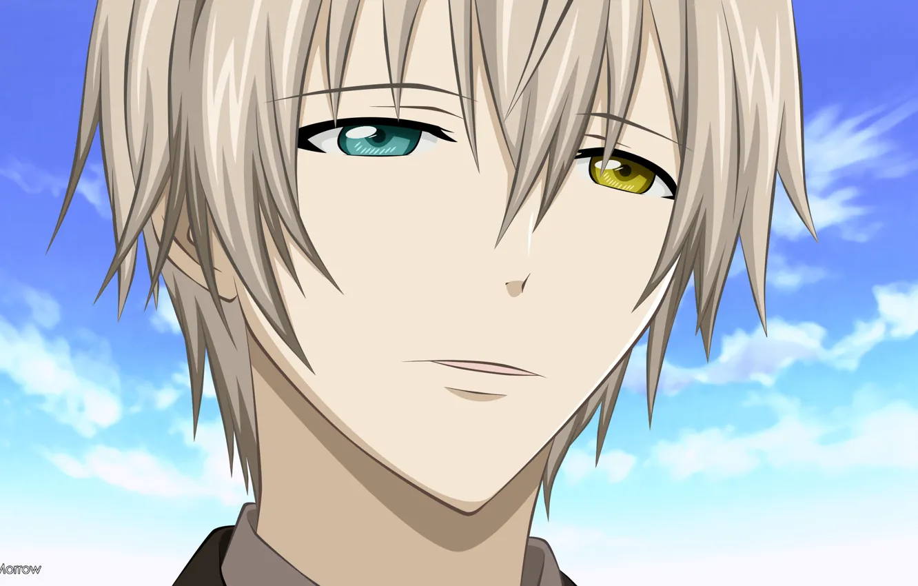 Photo wallpaper the sky, anime, guy, inu x boku ss, Mikazuki