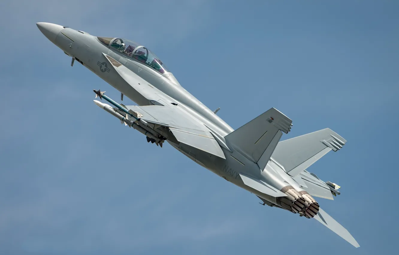 Photo wallpaper the sky, mediocrity, the plane, F/A-18F Super Hornet