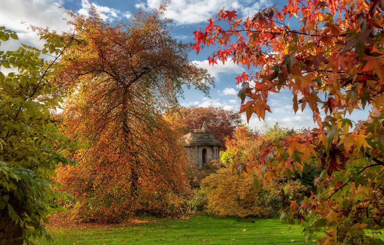 Photo wallpaper autumn, leaves, chapel