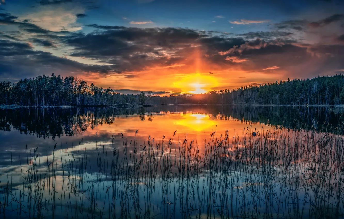 Photo wallpaper the sun, sunset, lake