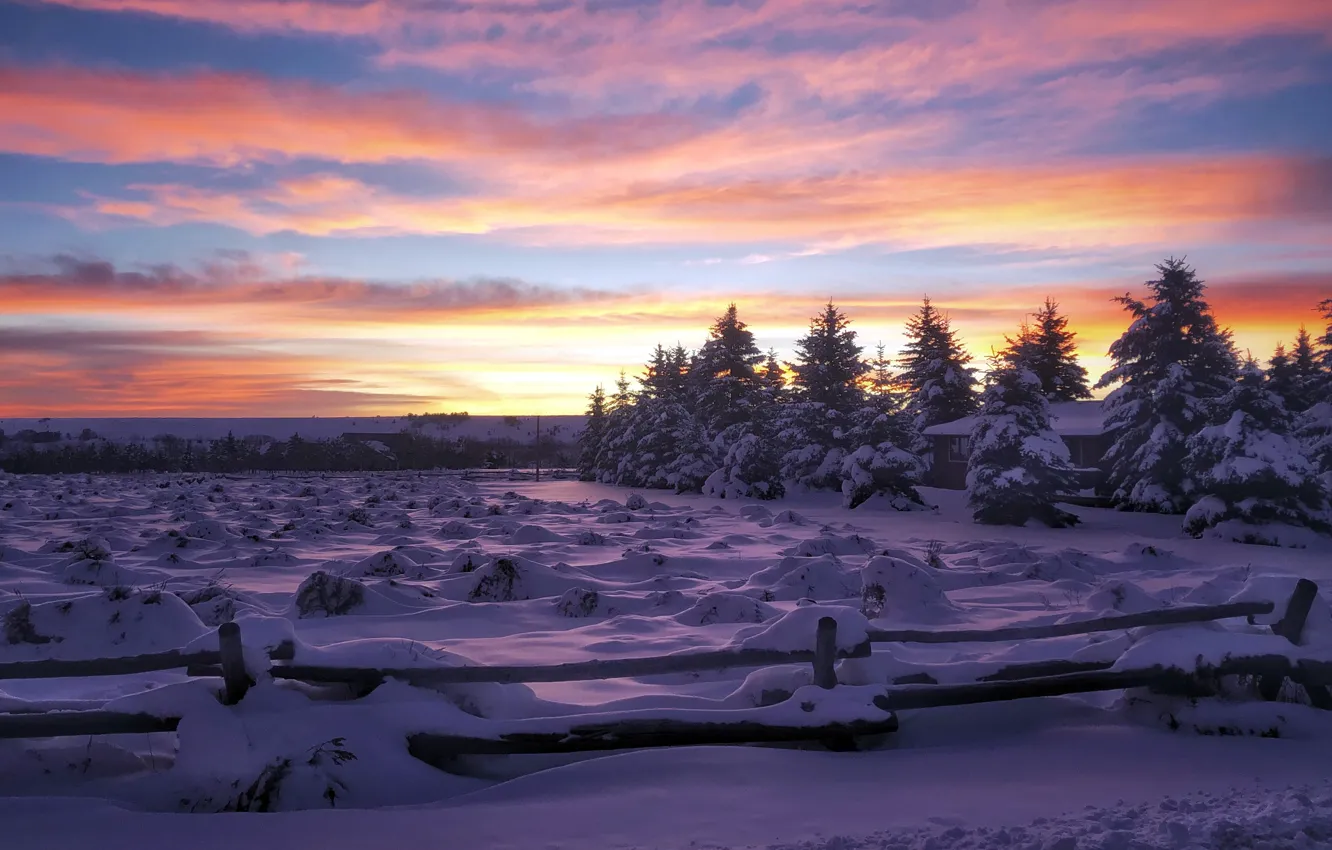 Photo wallpaper winter, snow, sunset