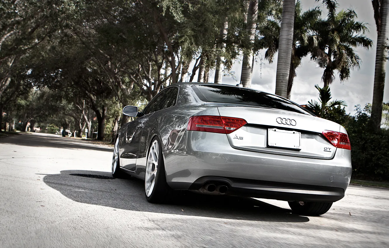 Photo wallpaper palm trees, Audi, Audi, street, silver, silvery