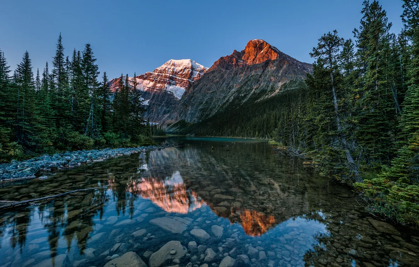 Photo wallpaper forest, nature, lake, Canada, Albert, Jasper National Park, Mount Edith Kavell