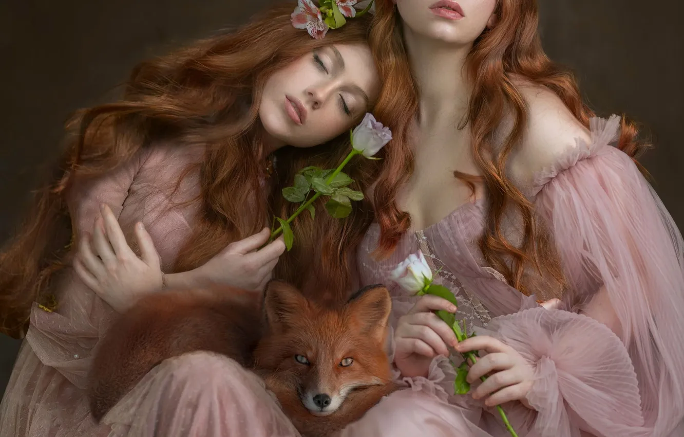 Photo wallpaper red, two, Fox, Evgenia Fedorova