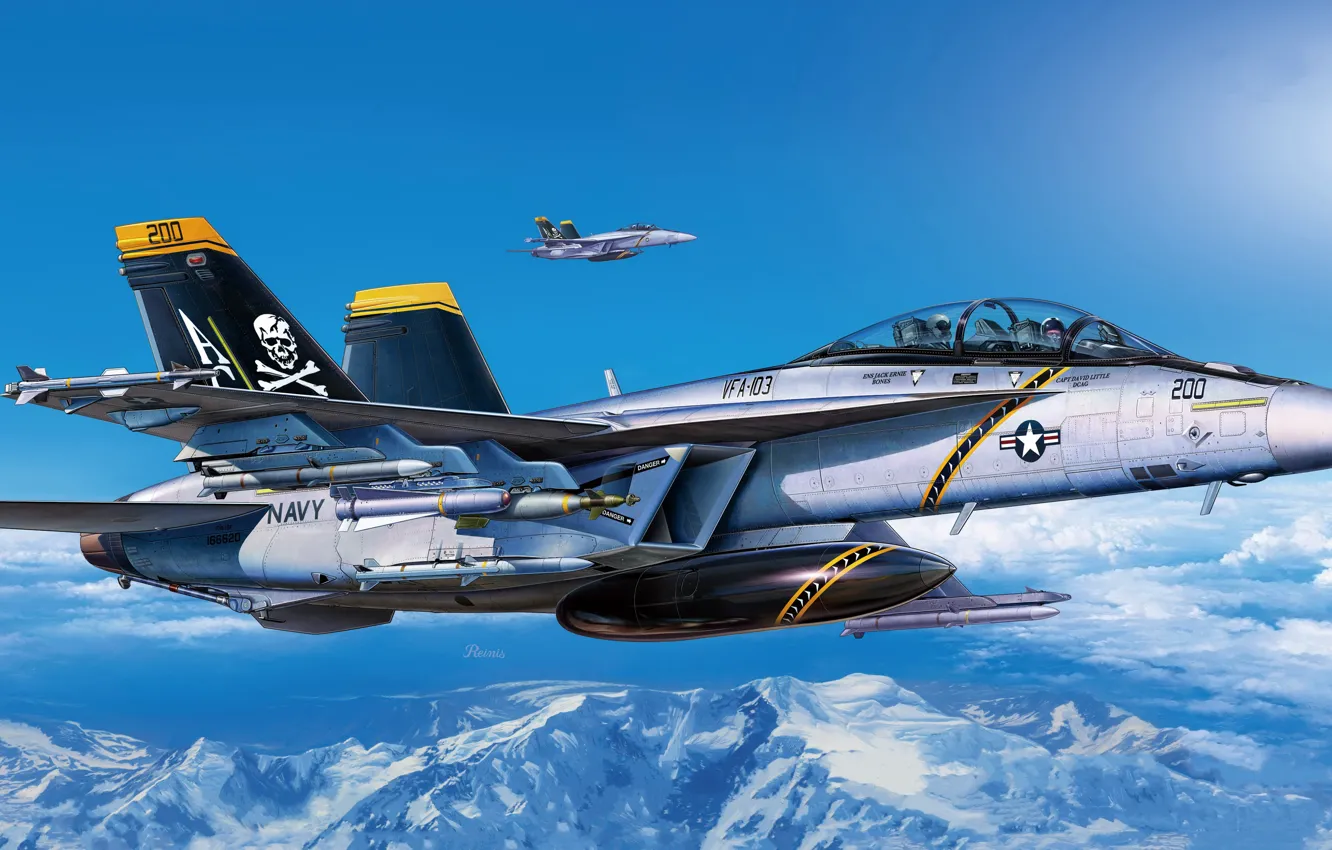 Photo wallpaper USA, F/A-18F Super Hornet, US NAVY, combat aircraft