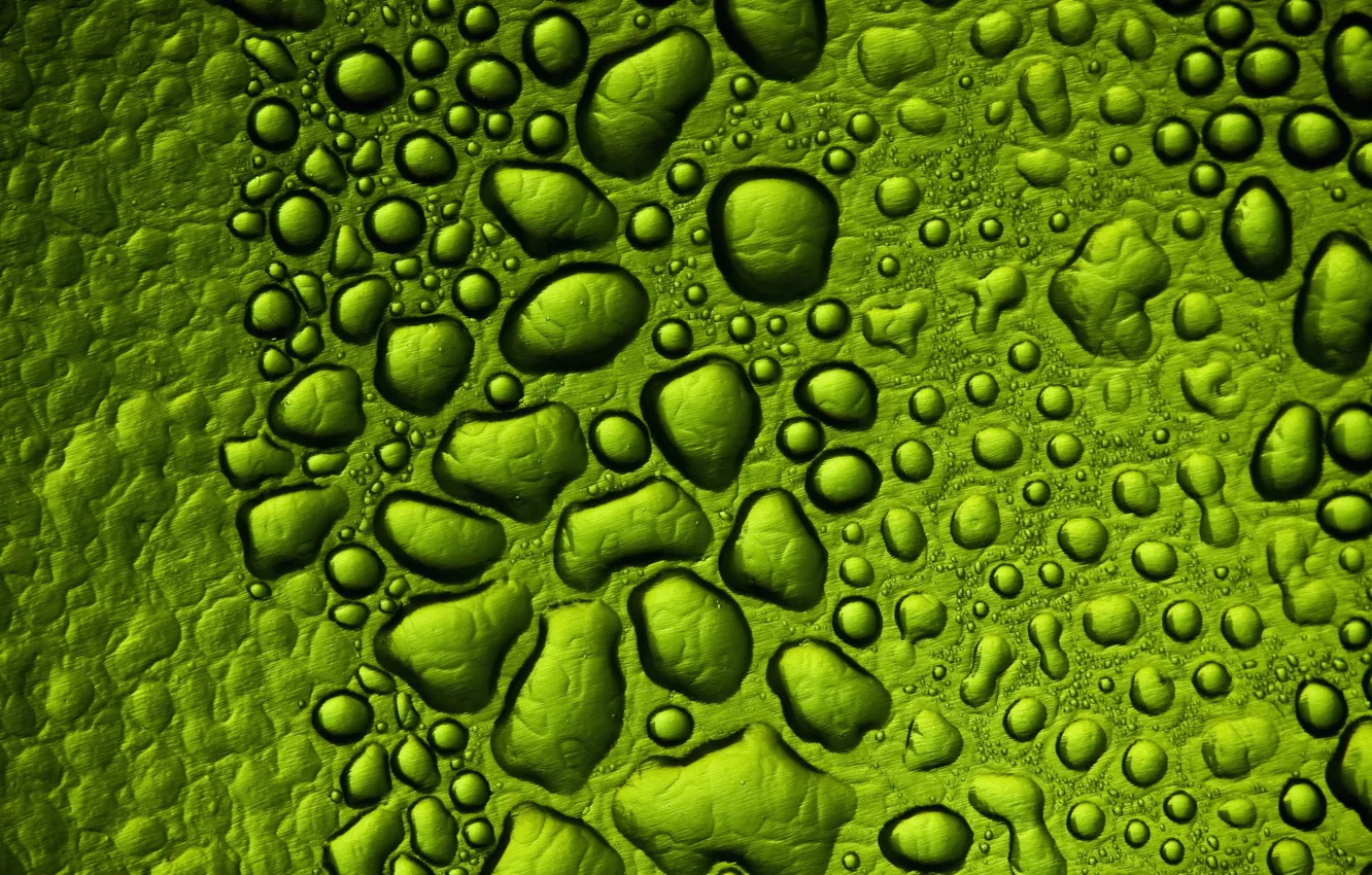 Photo wallpaper drops, macro, texture, green