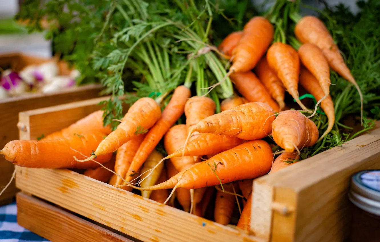 Photo wallpaper vegetables, carrots, market, vegetables, market, carrots