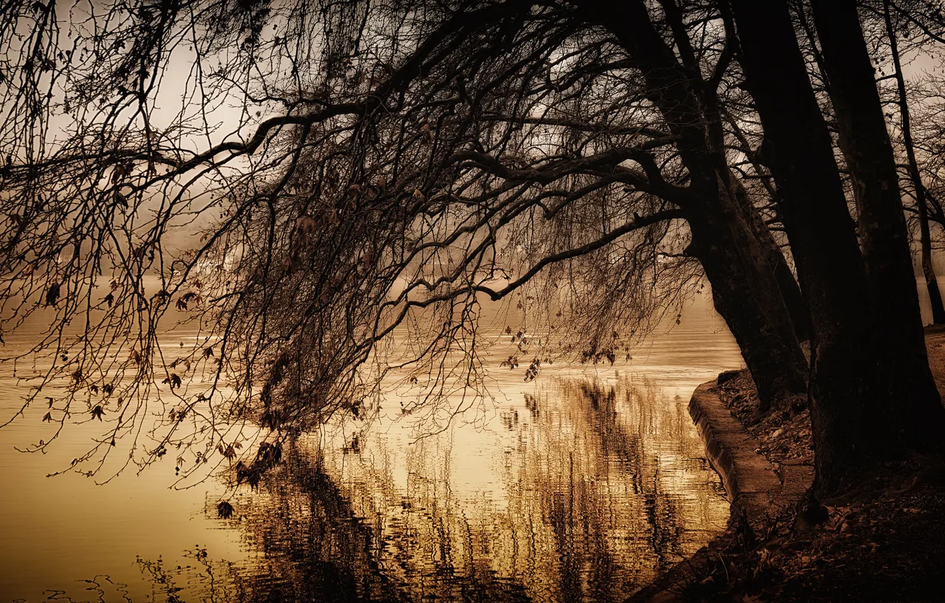 Photo wallpaper autumn, lake, pond, Park, tree