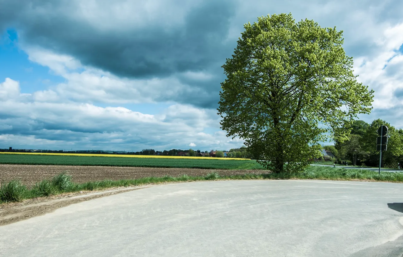 Photo wallpaper road, field, summer, clouds, tree, road, field, clouds