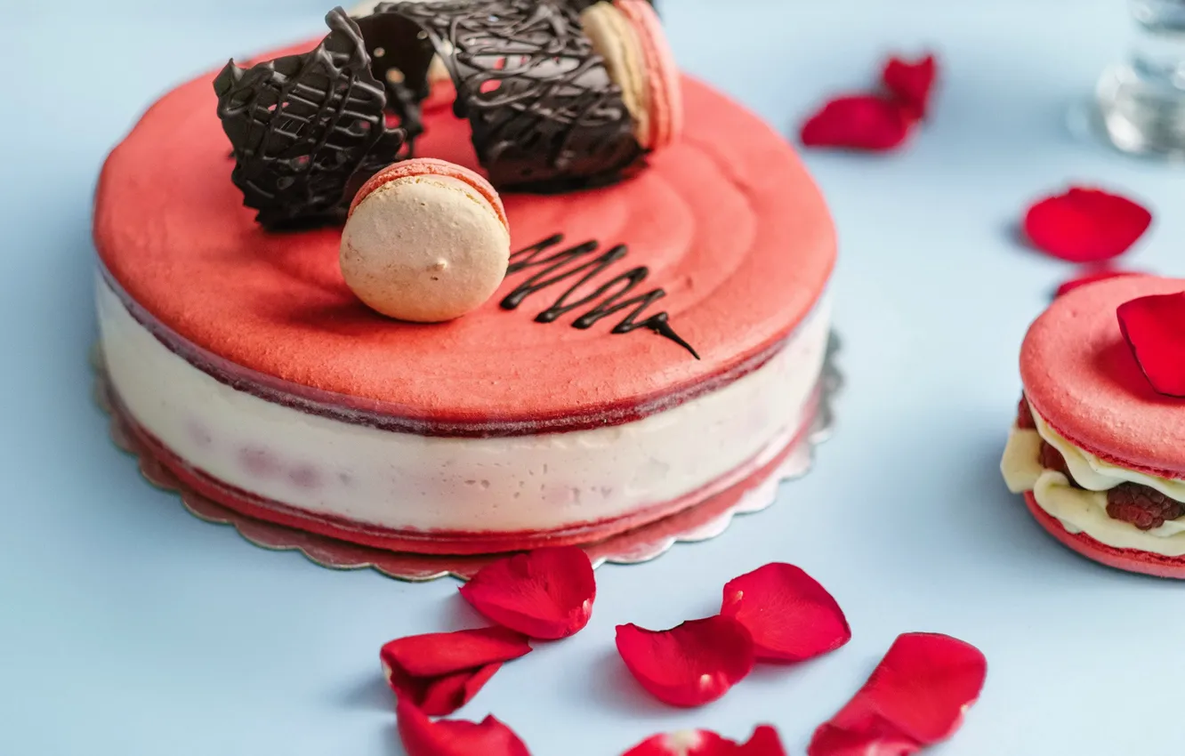 Photo wallpaper petals, cake, dessert
