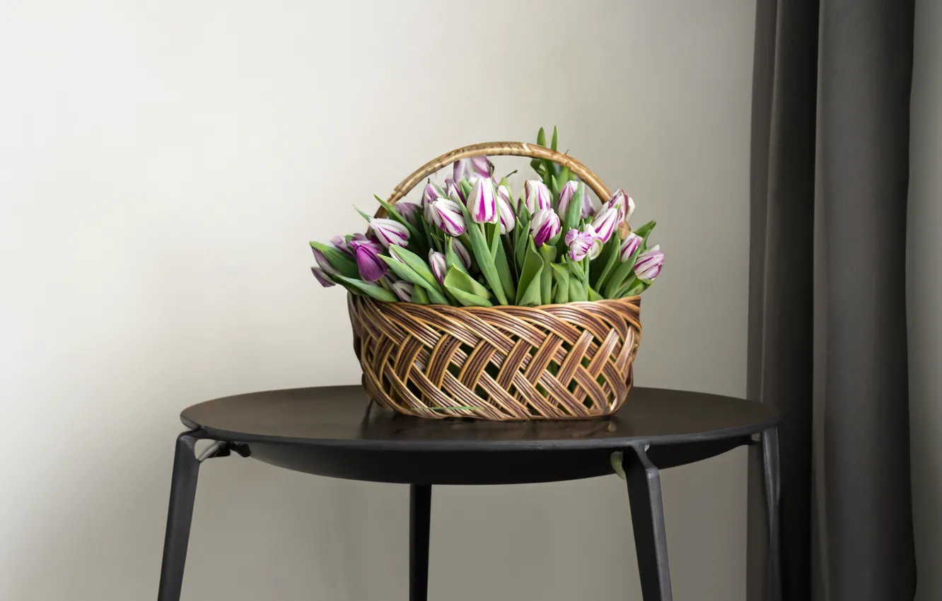 Photo wallpaper flowers, bouquet, spring, tulips, pink, curtains, grey background, basket