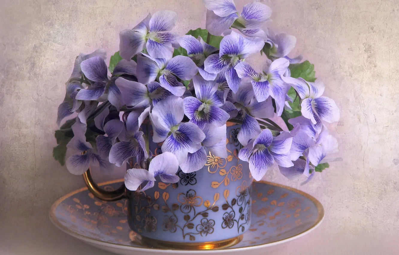 Photo wallpaper petals, mug, saucer, violet