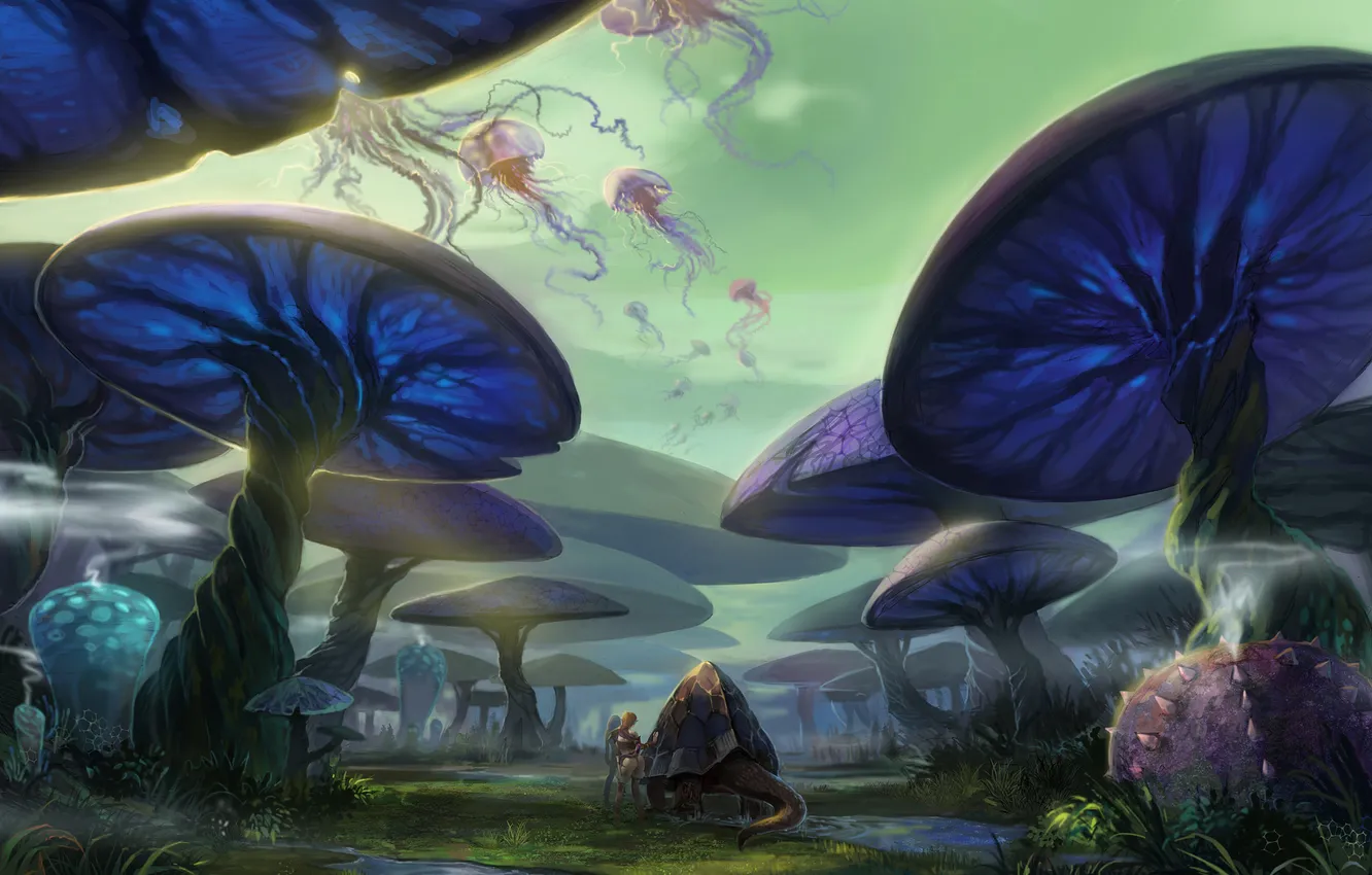 Photo wallpaper mushrooms, International, Perfect World