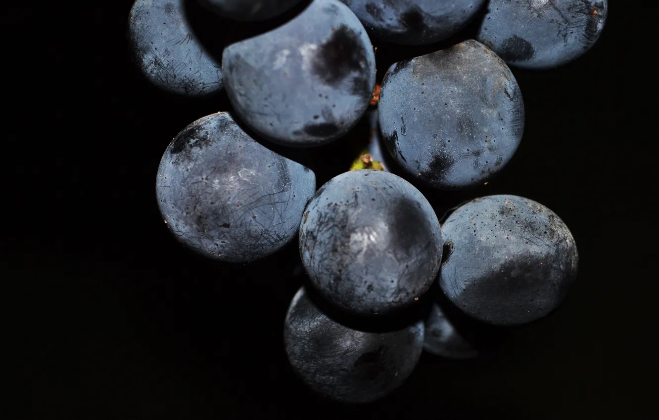 Photo wallpaper macro, grapes, black background