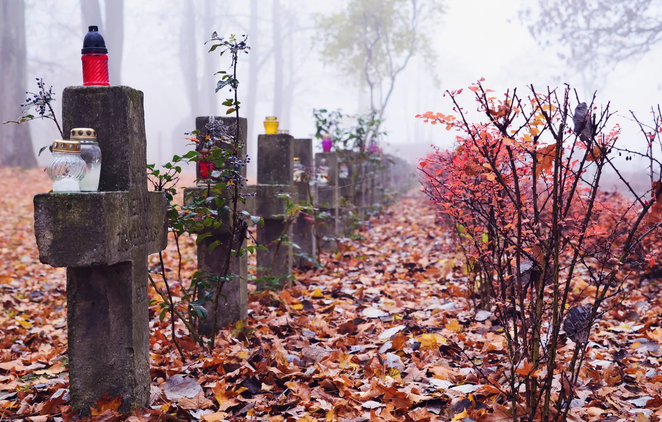 Photo wallpaper autumn, leaves, trees, fog, graves, cross, cemetery