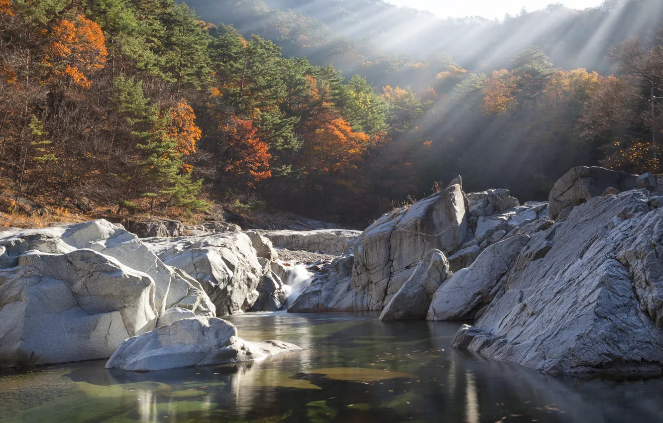 Photo wallpaper autumn, water, rays, trees, landscape, mountains, nature, river
