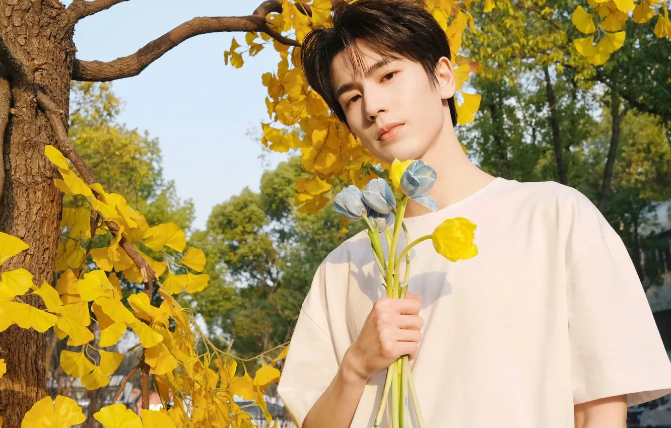 Photo wallpaper spring, tulips, chinese actor, Zhang Ling He, Zhang Lin He