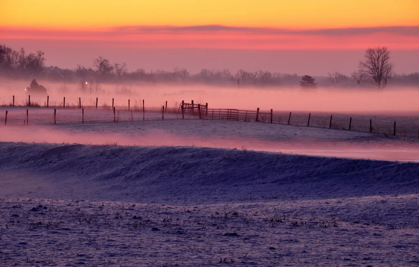 Photo wallpaper winter, field, fog