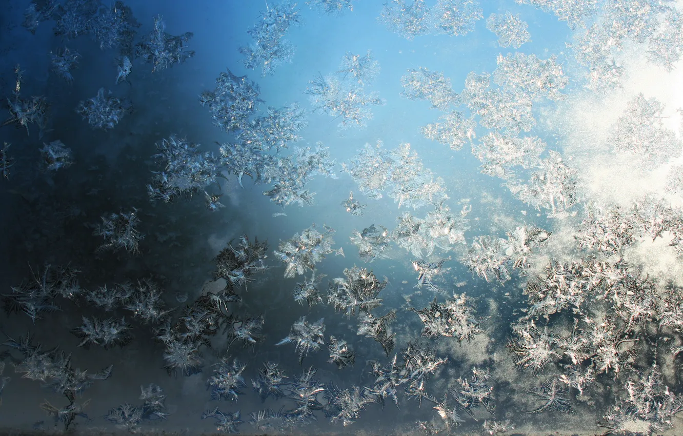 Photo wallpaper glass, light, frost