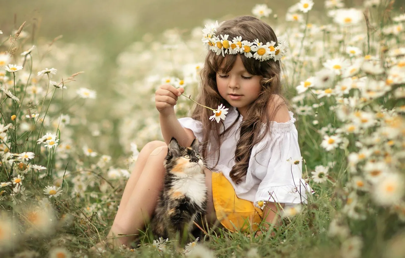 Photo wallpaper flowers, each, chamomile, meadow, girl, kitty, wreath, curls