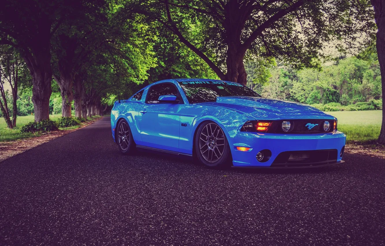 Photo wallpaper Mustang, Ford, Road, Trees, Ford, Muscle, Mustang, Car